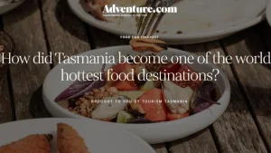 adventure.com-article