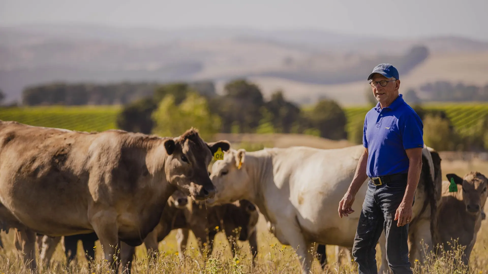 From Paddock To Plate