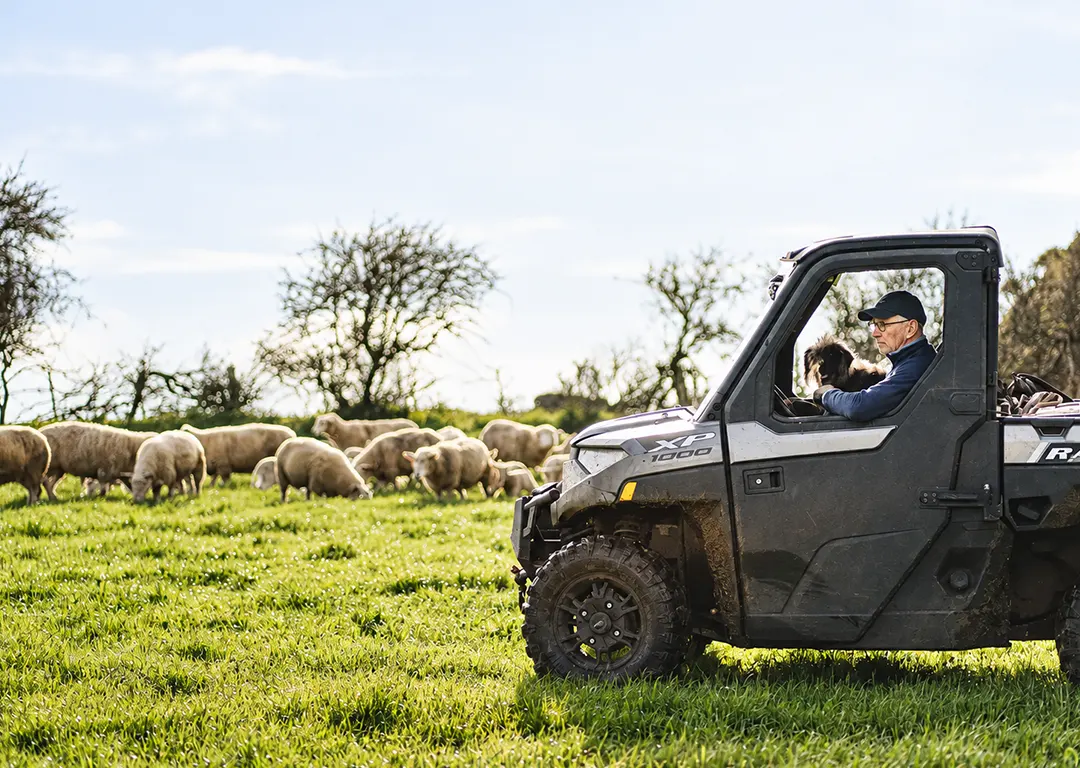 Paddock To Plate